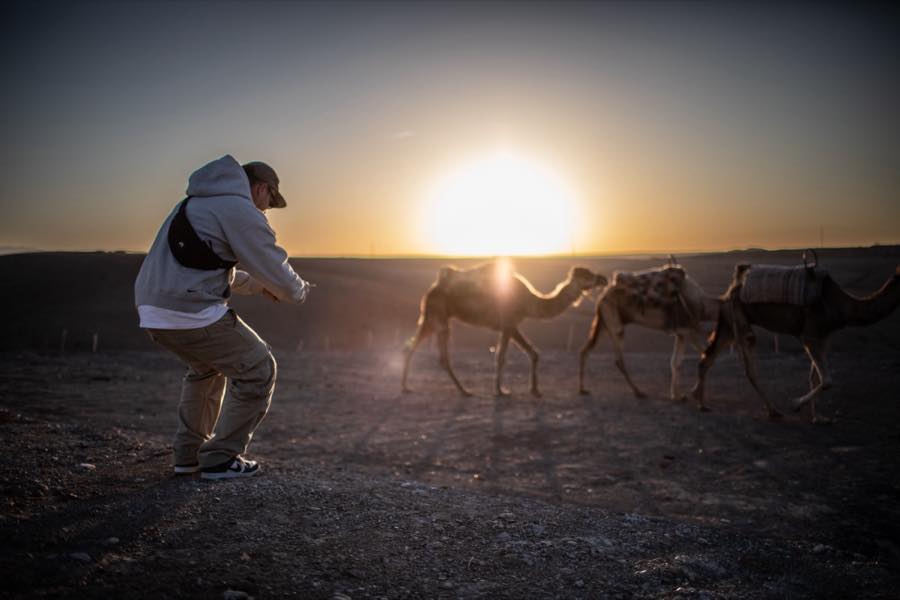 Een collega fotografeert kamelen in de woestijn bij zonsondergang